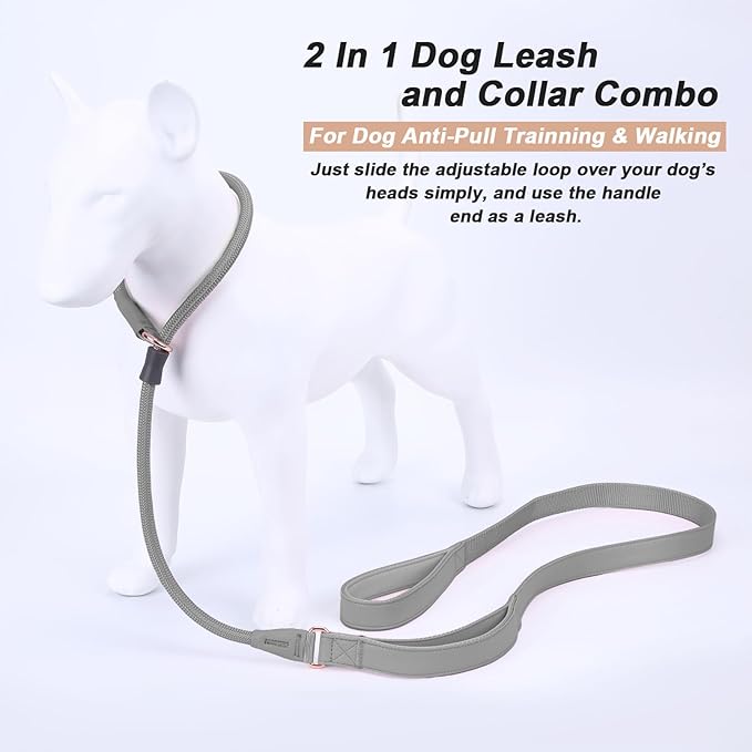 Slip Lead Dog Leash, Double Handle, Soft Leather, Heavy Duty Nylon, No Pull Walking, Grey, 5ft
