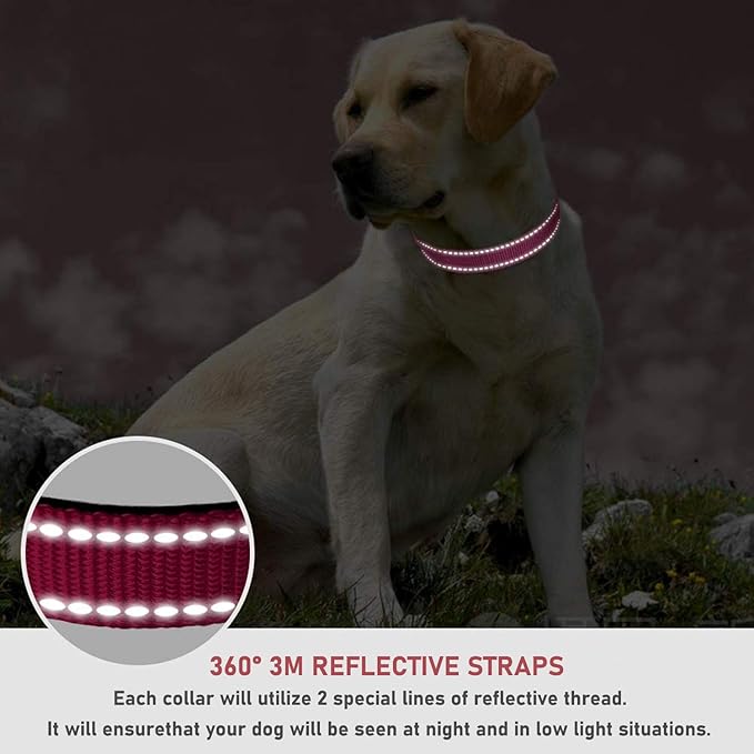 Reflective Dog Collar with Buckle Adjustable Safety Nylon Collars for Small Medium Large Dogs, Pink XL
