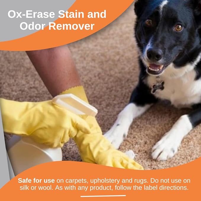 Odorcide Pet Urine Carpet Cleaner Stain Remover Concentrate – Pet Stain and Odor Remover - Pet Odor Eliminator w/Safe, Non-Enzymatic Formula (128 oz)