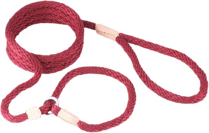 Alvalley Nylon Dog Training Leash with Stopper - Adjustable Nylon Rope Comes with Braided Leather at Ends - Tagua Bead Stopper Slip Lead - Suitable for Walking, and Training