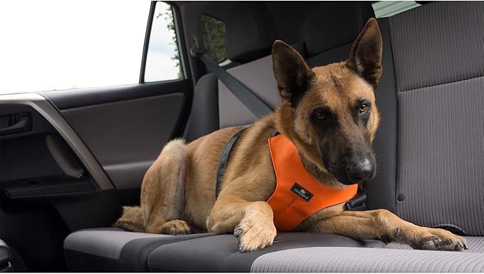 Clickit Sport Plus - Crash-Tested and Safety Certified Car Seat Belt Harness for Dogs (Extra Large, Charcoal Grey)