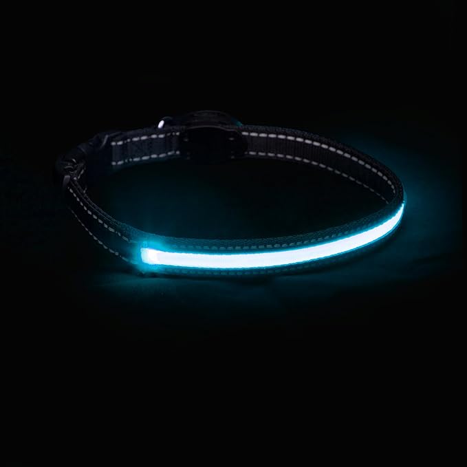 Sherry Kline LED Light-Up Pet Collar - USB Rechargeable - Flashing Glow in The Dark Size Large, Color: Blue