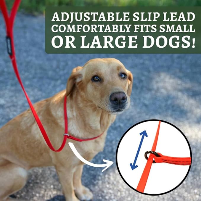 DogBone Slip Lead for Small, Medium, & Large Dogs – No Pull Lasso Style Leash & Collar for Control During Training - Waterproof & Chew Resistant Biothane Alternative - Great Size for Hiking & Travel
