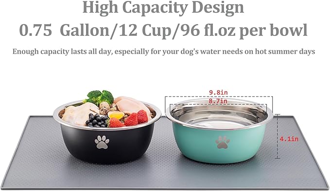 Large Dog Water Bowl 2 Pack, 0.75 Gallon 96oz Stainless Steel Metal Dog Food Bowl for Medium Large Dogs, Black