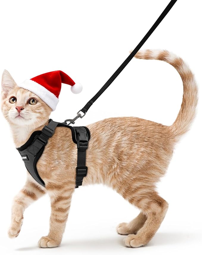 rabbitgoo Cat Harness and Leash for Walking, Escape Proof Soft Adjustable Vest Harnesses for Cats, Easy Control Breathable Reflective Strips Jacket, Black, S