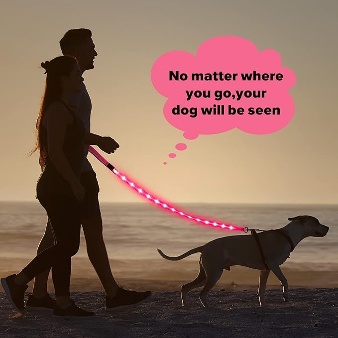 Illumifun LED Dog Leash - USB Rechargeable Light Up Dog Leash Glow in The Dark, Nylon Glowing Dog Lead for Your Dogs Walking (PinkⅡ)