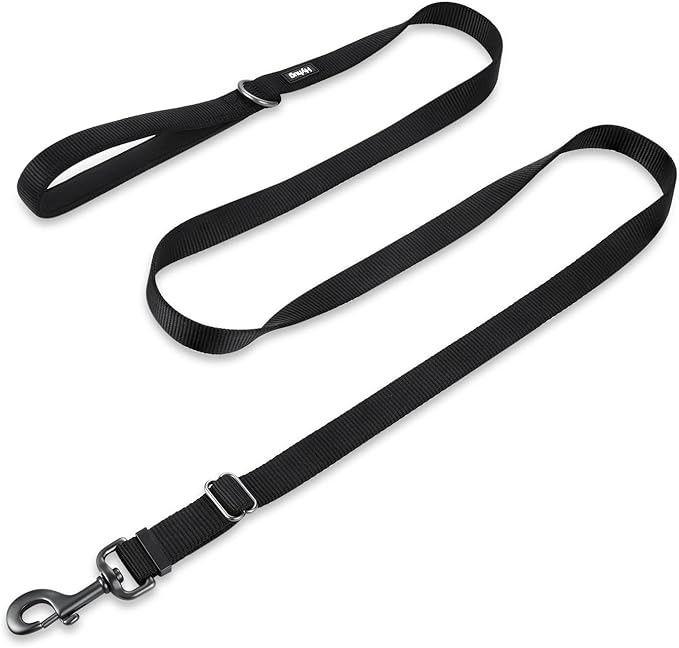 Hyhug Nylon Adjustable 4-6ft Dog Leash with Soft Neoprene Padded Handle, Durable Heavy Duty Leash with Easy-to-Use Bolt Snap, Ideal for Jogging Outdoor