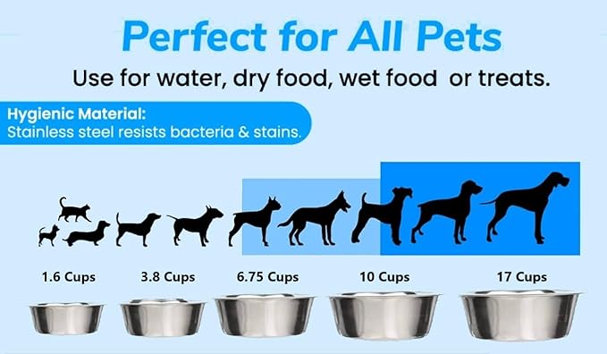 Greendale - 2 Pack - 6.75 Cup Capacity - Stainless Steel Metal Dog Bowls - Perfect for Dog Food and Water. Wrong Size? Click to Look at Our Size Options.