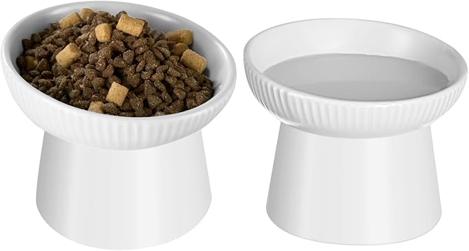 Ceramic Elevated Cat Bowls-Water Bowl, 15° Tilted Design, Anti-Vomiting & Spine Protection, Prevent Whisker Fatigue for Kittens to Adult Cats and Small Dogs (White-15° Cat Bowls-2)