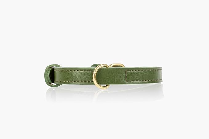 Two Tails Pet Company Cactus Vegan Leather Dog Collar, Adjustable Pet Collar with Gold Hardware and D Rings for Leash and ID Tag for Dogs and Puppies, Easy to Clean & Eco Friendly, Green, Size Medium