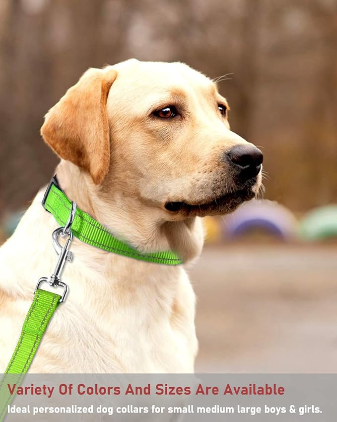 Reflective Dog Collar with Buckle Adjustable Safety Nylon Collars for Small Medium Large Dogs, Grass Green S