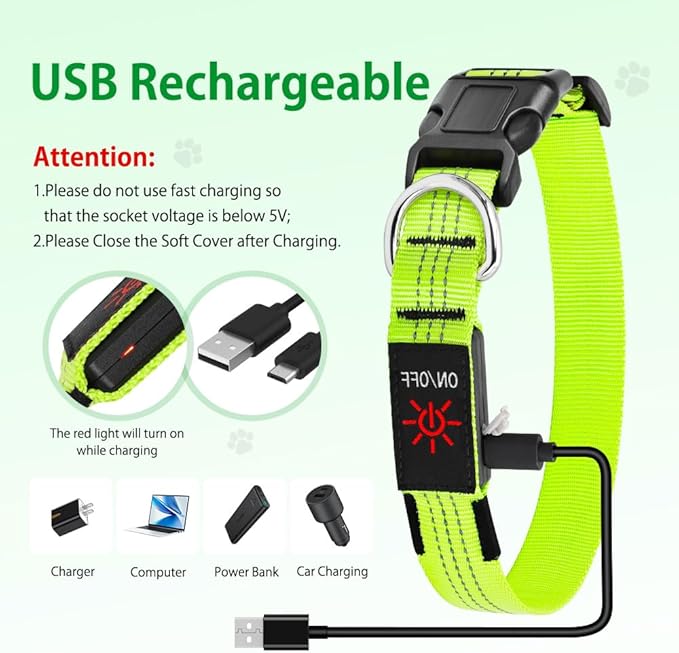 DOMIGLOW Light Up Dog Collars - USB Rechargeable Reflective LED Dog Collar, Water-Resistant Glow Pet Collar Lights for Night Walking Camping (Green, Medium)