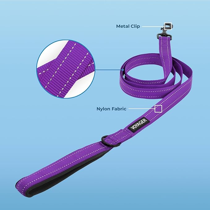 Best Pet Supplies Voyager Reflective Dog Leash or Collar with Neoprene Handle, for Small, Medium, and Large Breed Puppies, Cute and Heavy Duty for Walking, Running and Training - Purple Leash, L