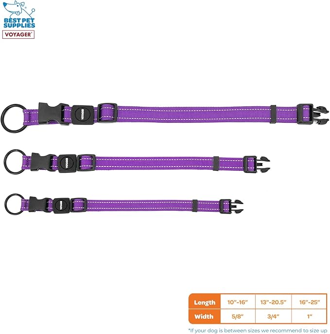 Best Pet Supplies Reflective Dog Collar with Adjustable Length, Heavy-Duty Buckle, and Strong Leash D-Ring, Training, Walking, Jogging Accessory for Small, Medium, and Large Breeds - Purple, S