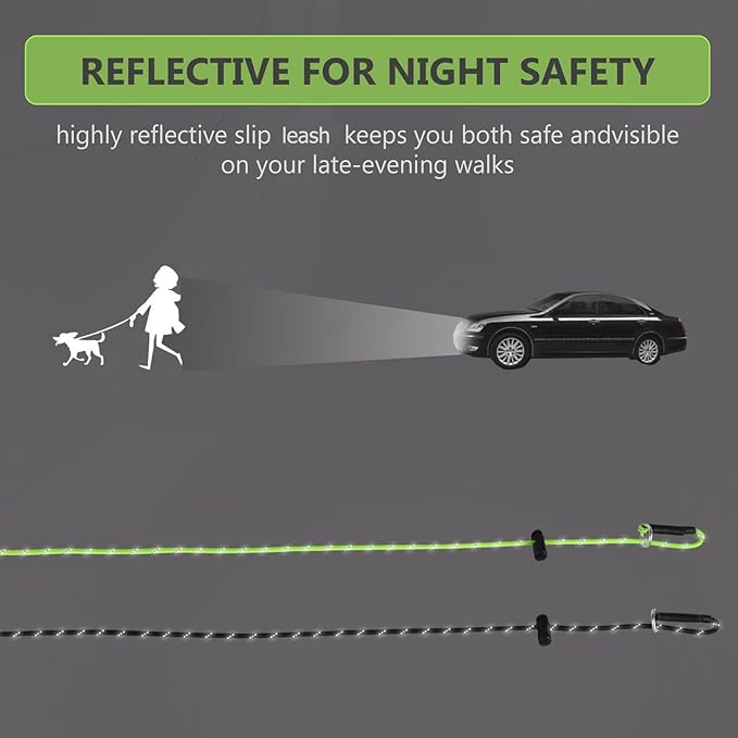 Reflective Slip Lead Leashes Puppy Training Lead – 4.3mm Paracord Rope with 12-Core Strength, 1000lb Pull Force Set of 2 for Small & Medium Dogs (Pink & Light Gray, 4 FT)