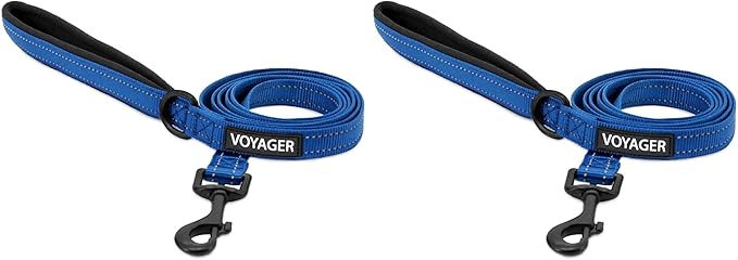 Voyager Reflective Dog Leash with Neoprene Handle, 5ft Long, Supports Small, Medium, and Large Breed Puppies, Cute and Heavy Duty for Walking, Running, and Training - Royal Blue (Leash), M (Pack of 2)