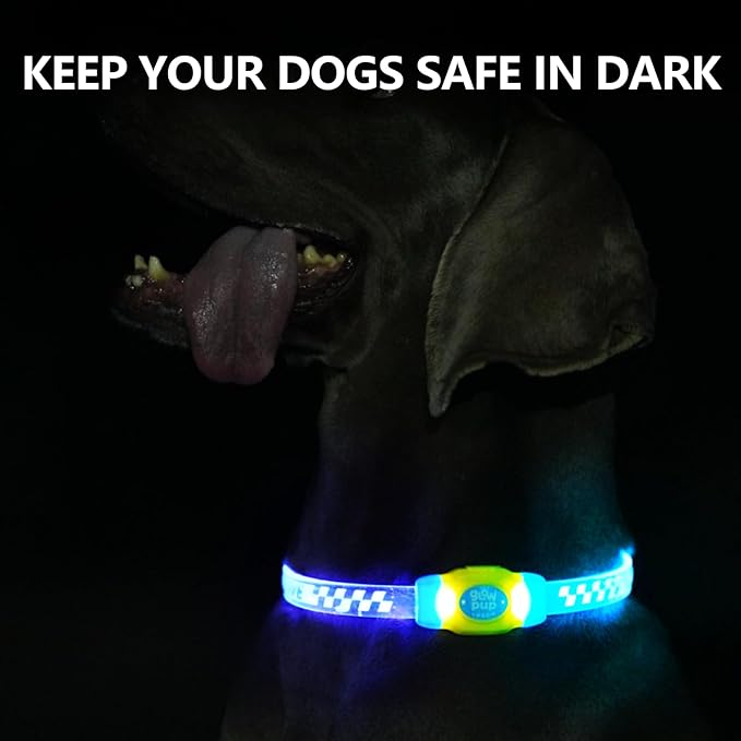 LaRoo LED Light Up Dog Collar, Multi-Color Glowing Safety Pet Collar, USB Rechargeable, Adjustable, Night Walk High Visibility Collar Safety Dog Light for Small Medium Dogs(Purple)