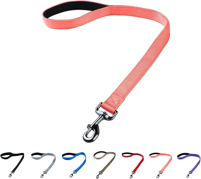 Premium 24 Inches Nylon Short Dog Leash with Heavy Duty Clasp and Soft Padded Handle for Large Medium Breed Dogs Daily Use Jogging,Walking,Training etc...(24 Inches, Living Coral)