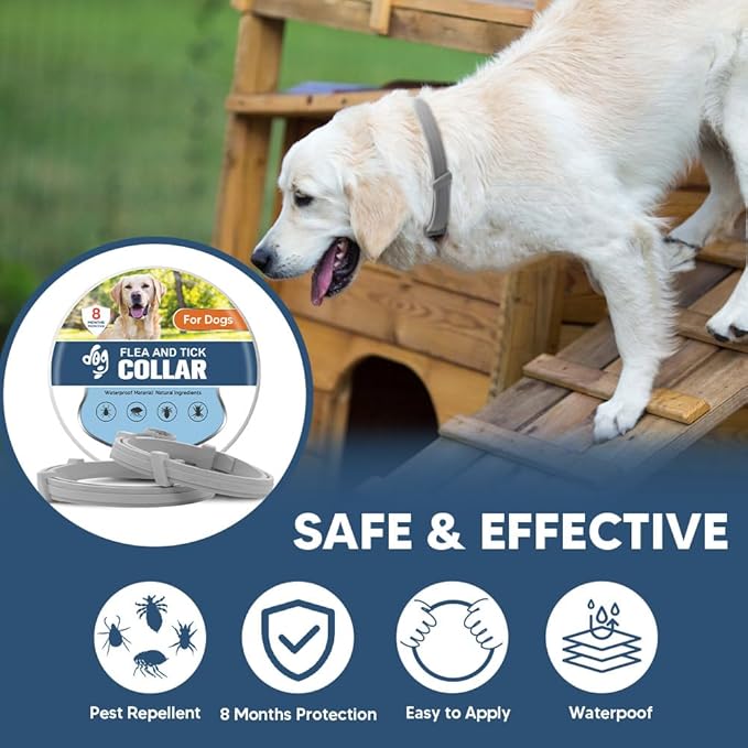 Flea Collars for Dogs, Tick Collar for Large Dogs, Adjustable Dog Flea Collar with 8 Months Prevention, Comfort Fit for Large Dog-2 Pcs