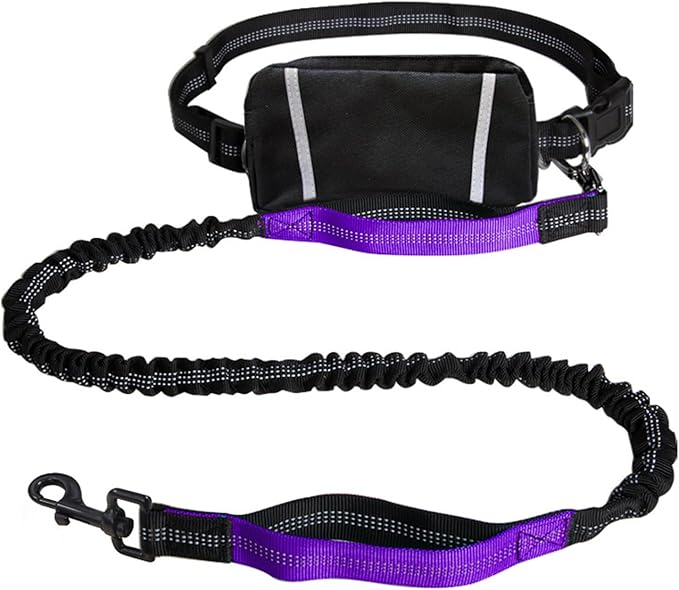 Sports Waist Bag Long Leash for Dog Multifunctional Leash Outdoor Reflective for Training Hiking Pack Running Belt
