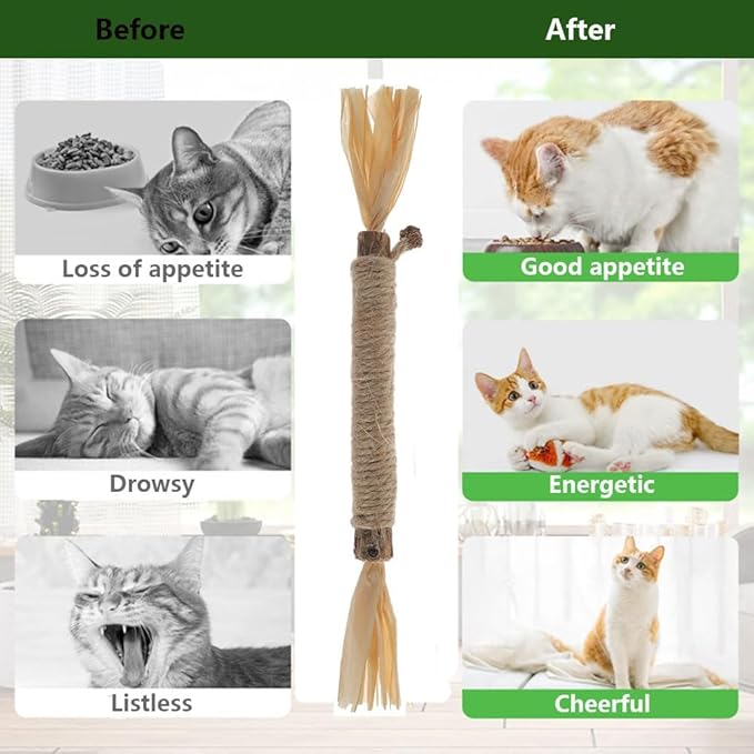 RELONGGI 5 PCS Silvervine Sticks for Cats - Natural Cat Chew Toys for Teeth Cleaning, Kitten Teething & Aggressive Chewers