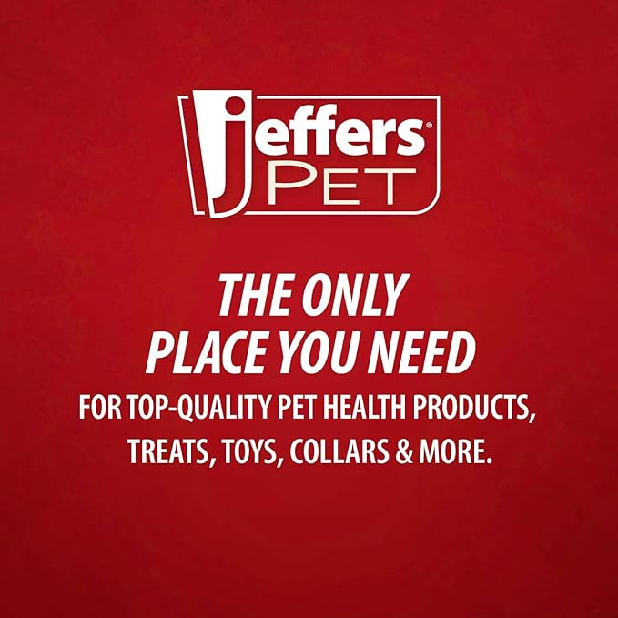 Jeffers Pet Apricot Kernel Shampoo, 17 oz – Detergent & Soap Free Exfoliating & Moisturizing Formula for Dogs, Cats, Puppies, Ferrets & Rabbit – Coconut Based, Apricot Scent with Vitamins A&D
