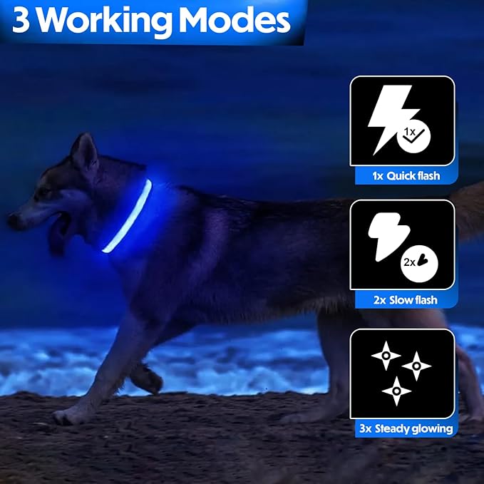 Light Up Dog Collar – Reflective, Adjustable & Rechargeable Electronic Glow Pet Collars – Bright, Comfortable, High Visibility LED Dog Collar for Night Safety, Outdoor Walk & Flashing Fun, Blue, Large