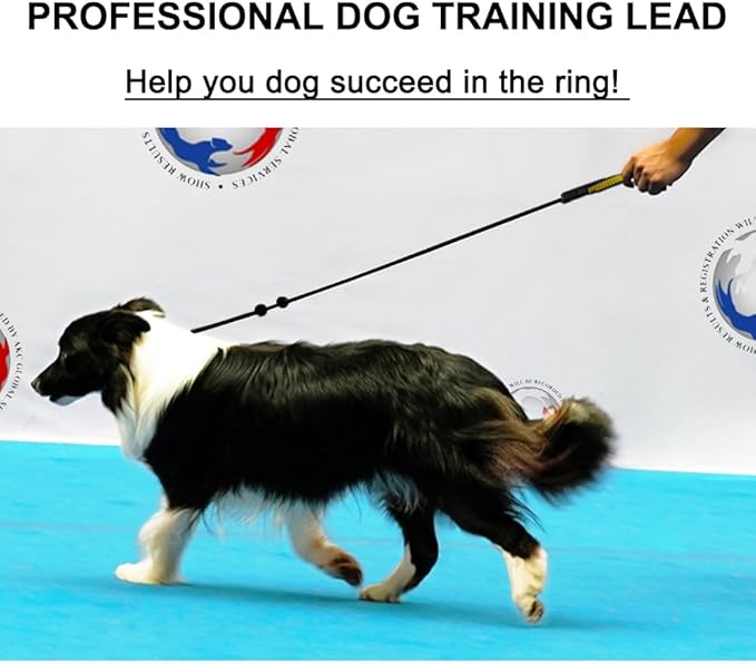 BeauGo|Slip Leads For Dogs|Dog Training Leash|2-In-1Training lead & Collar,Thin rope specifically designed for dog training and NGKC competition,Sturdy and durable,Suitable for all dogs,Dog leash3.6FT