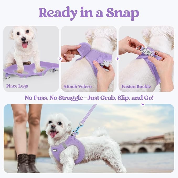 rabbitgoo Dog Harness Small Sized and Leash Set, Step in Soft Light Puppy Vest, Breathable Mesh Pet Harness, Reflective for Safe Easy Walking, Light Purple XXXS