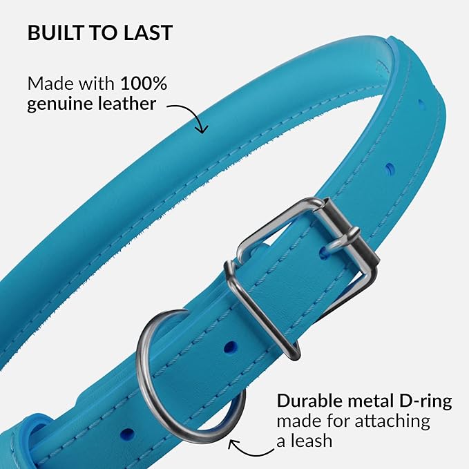 CollarDirect Rolled Leather Dog Collar, Soft Padded Round Puppy Collar, Handmade Genuine Leather Collar Dog Small Large Cat Collars 13 Colors (11-14 Inch, Light Blue)