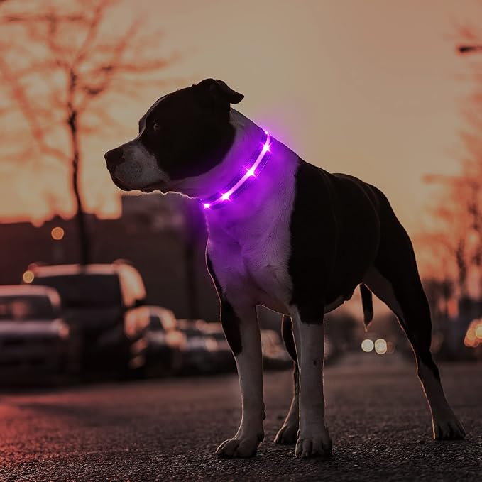 MASBRILL Led Dog Collar - Rechargeable, Water-Resistant, Flashing Glowing Collar for Night Walking - S(15.75 * 0.98in)