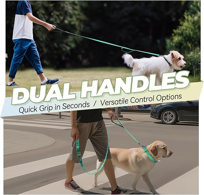 VIVAGLORY Twingrip Dog Leash, Double Handle Dog Leash for Training & Walking with Traffic Handle & 2 Loop, Traffic Control Reflective Heavy Duty for Puppy Pet, 5ft x 1in, Turquoise