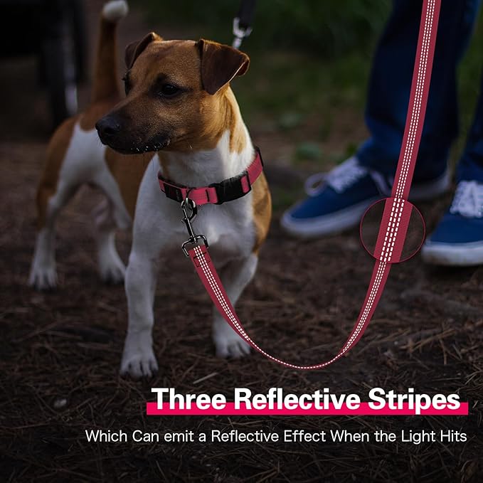 Dolitego Light Up Dog Leash, 5 Ft LED Dog Lead Rechargeable Glow in The Dark Pet Leashes Safety Dog Lights for Night Walking (Pink)