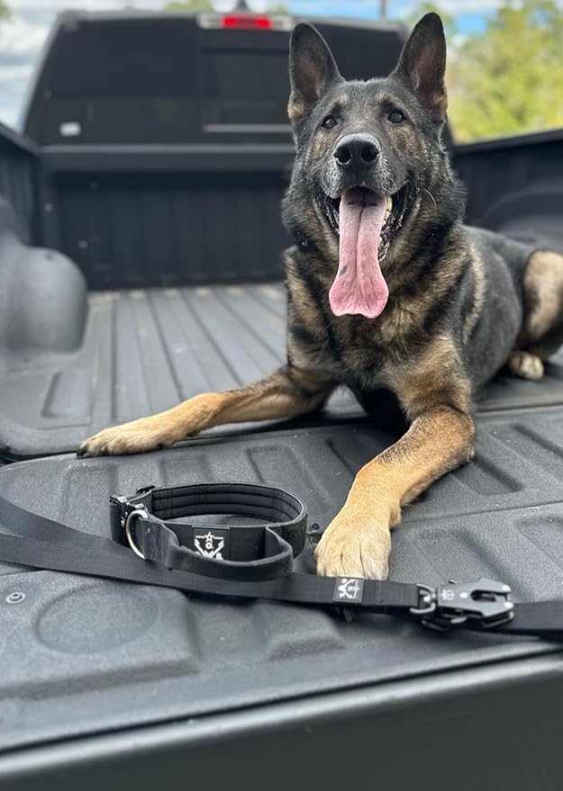 Operation Good Boy Tactical Dog Collar – Durable Military-Grade Nylon with Quick Release Buckle & Training Handle – Adjustable for Medium and Large Dogs (Black)