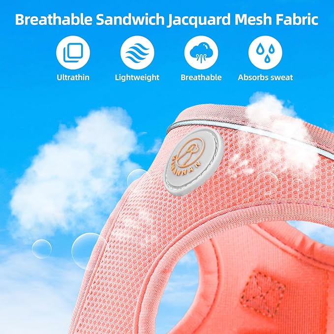 Soft Mesh Dog Harness and Leash Set, No Pull Puppy Harness and Leash Set, Reflective Step in Harness for Small Medium Dogs, Easy Walk Escape Proof Vest Harnesses (Pink, L)