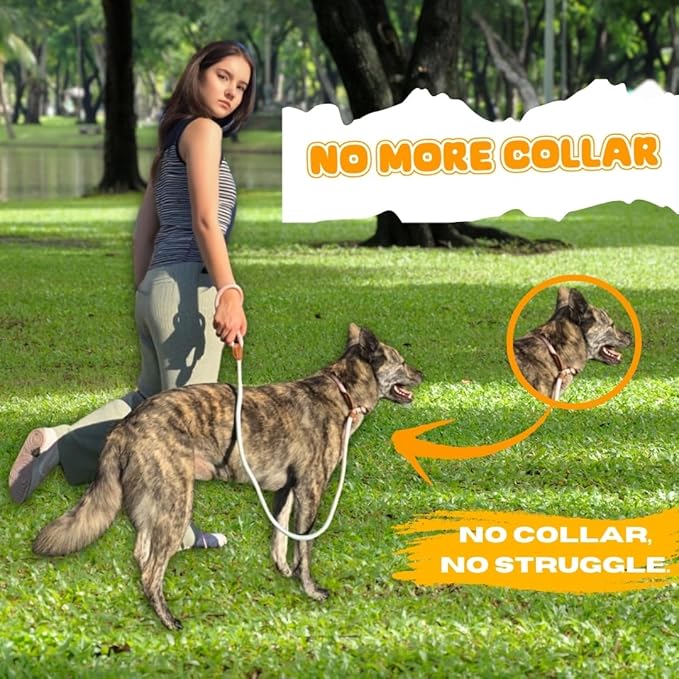 Dog Leash - Slip Leads for Dogs, 5 FT Pet Training Leash, Strong Heavy Duty Braided No Pull Loop Rope Training Lead Leashes for Small, Medium, Large Breeds, Pink & Blue