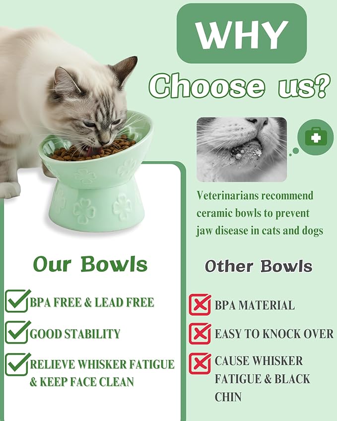 TRUVIC Ceramic Slow Feeder Cat Bowl, Elevated Cat Wet Food Bowl Tilted Design, Raised Slow Feeder Dog Bowl no Black Chin, Four-Leaf Clover Shape for Dry and Wet Food, Jun Blanc