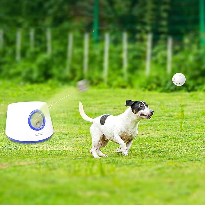 RERBIO 6 Pack Dog Toy Balls, 2.3 Inch ETPU Material, Replacement Balls for Automatic Ball Launcher Machine, Perfect for Small & Medium Dogs, Perfect for 2.3 Inch Automatic Launcher