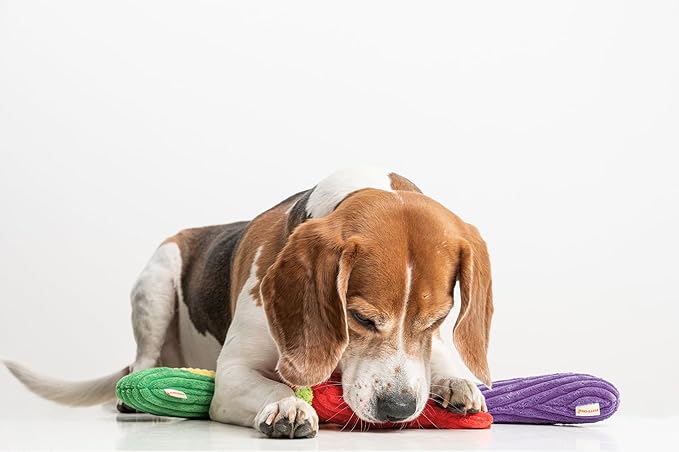 Squeaky Dog Plush Toy, Veggie Bite_Stick Collection, 8'', for Small and Medium Dogs (5 in 1)