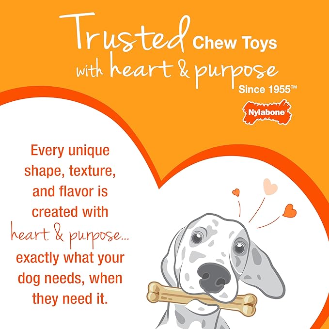 Nylabone Textured Bone Power Chew Toy for Dogs, Durable & Tough Dog Toys for Aggressive Chewers, Basted Blast Bacon and Steak Flavor, Large Dogs - Up to 50 lbs, 1 Count