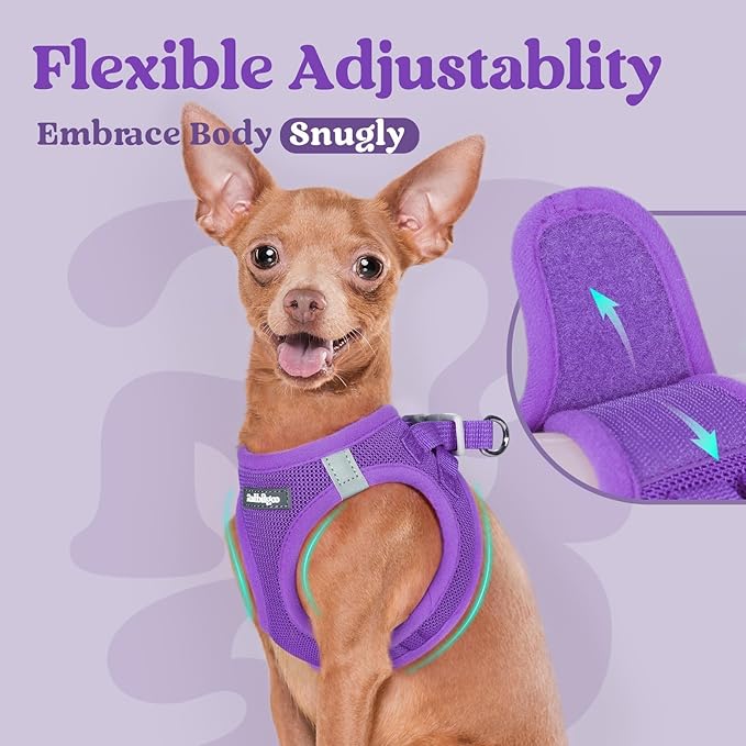 rabbitgoo Small Dog Harness, Step-in Soft Mesh Puppy Vest with Safety Buckle, Breathable Reflective Pet Harness for Small Medium Dogs, Purple XL