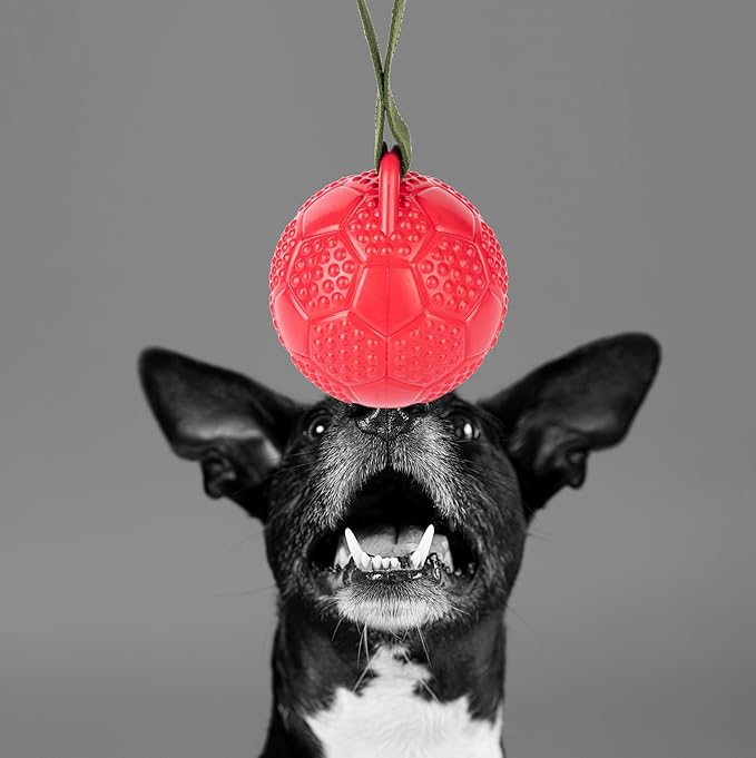 Fuzzl Eco Rubber Chuck & Treat Soccer Ball - Red - Long Lasting Dog Chew Toys for Aggressive Chewers Strong Dog Toy for Dogs Durable Puppy Toys 13cm