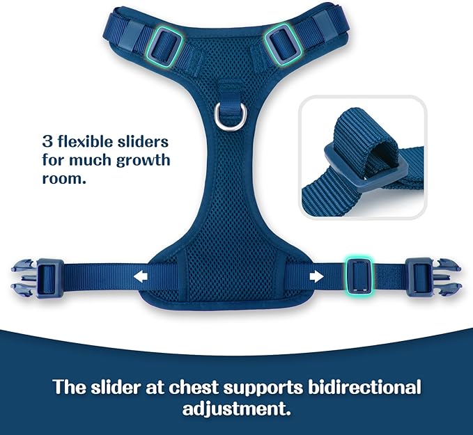 No Pull Dog Harness for Small Medium Large Dogs - Adjustable 2 Layer Mesh Dog Vest with Dual Clip, Escape Proof, Quick Release, Lightweight Breathable Mesh for Walking Hiking (Prussian Blue,XS)