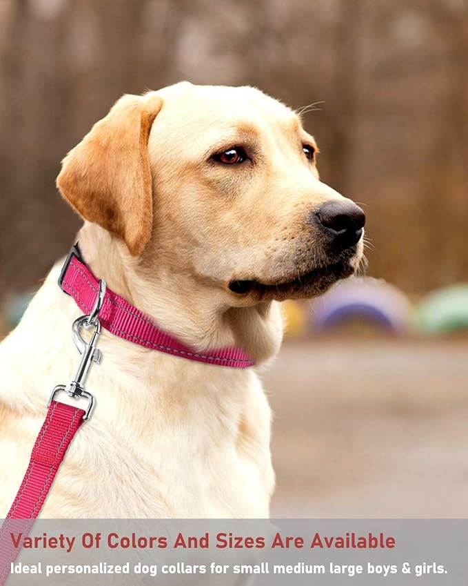 Reflective Dog Collar with Buckle Adjustable Safety Nylon Collars for Small Medium Large Dogs, Pink XL