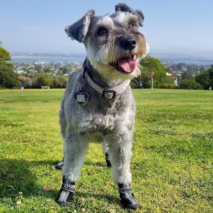 QUMY Dog Shoes for Small Dogs, Puppy Dog Boots & Paw Protectors for Winter Snow Day, Summer Hot Pavement, Waterproof in Rain Weather, Ourdoor Hiking, Indoor Hardfloor Skid-Resistant Sole Blue Size 3