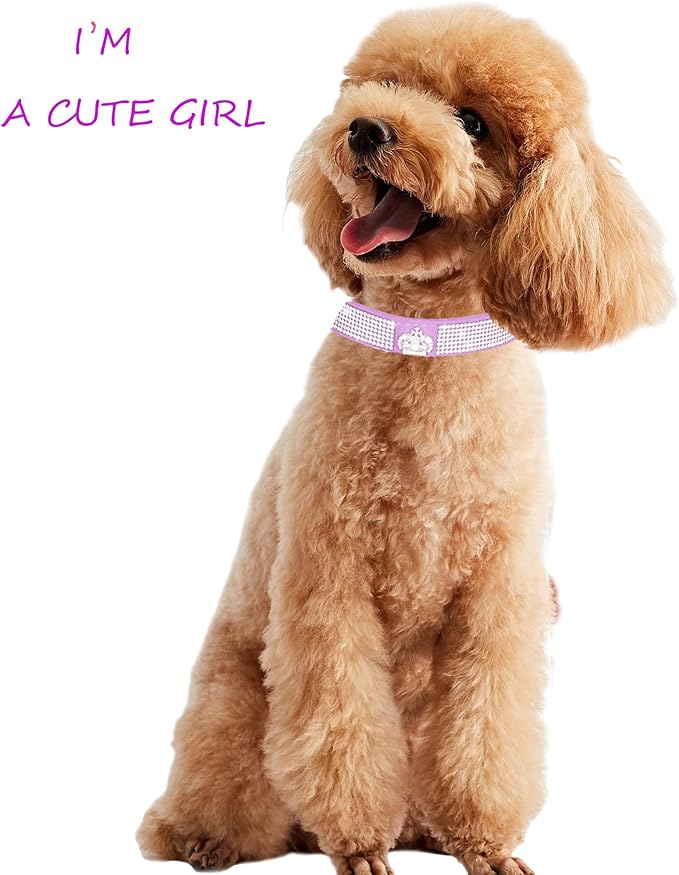 Dog Collar for Small Dogs, Adjustable Leather Suede Bling Dog Collars，Pink Dog Collar Cat Collar, Rhinestone Dog Collar (M, purple3)