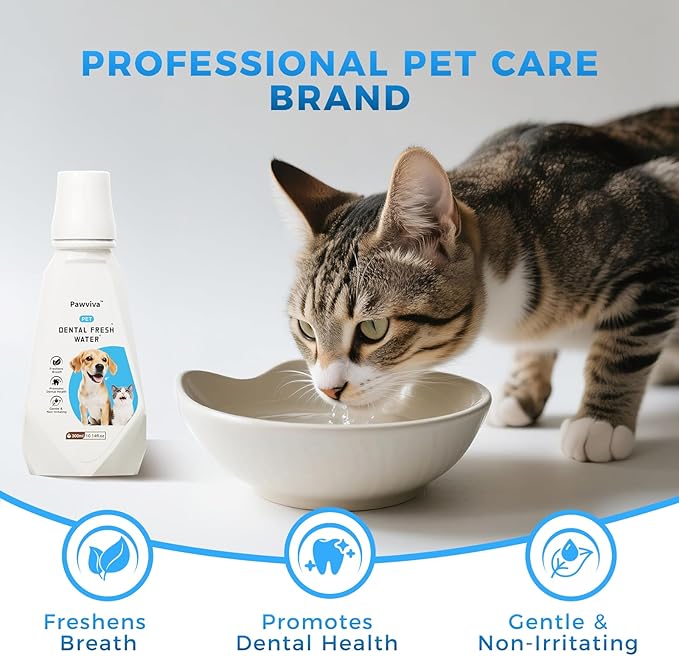Pet Dental Fresh Water for Dogs and Cats, 10.14 fl oz, Gentle Formula