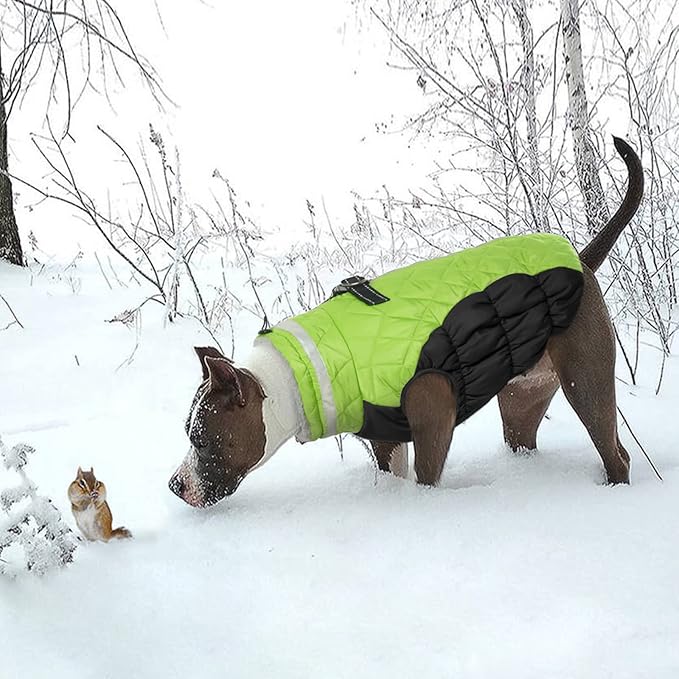 Lelepet Dog Coat Warm Dog Winter Coat Waterproof Dogs Jacket with Harness Built in Reflective Pet Fleece Vest Zip-Up Cold Weather Coats for Medium Dogs Turtleneck & Windproof Coats Dachshund Lime M