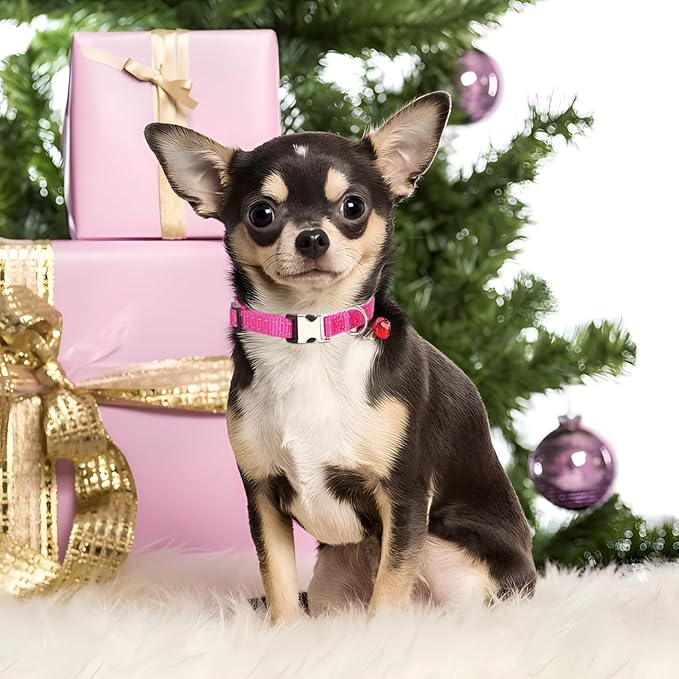 Hot Pink XS Dog Collar with Bell, Reflective Nylon XSmall Puppy Collars Soft Adjustable Buckle for XXS Small Puppia Female Tiny Pets Cats Girl Kitten Yorkie X-Small
