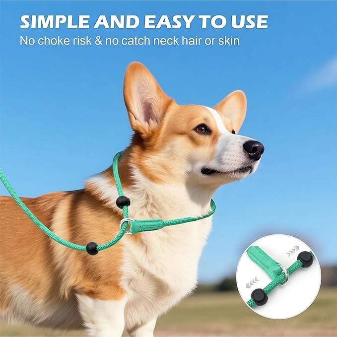 6FT Slip Lead Dog Leash with Double Padded Handle, Anti-Tangle Slip Leads for Dogs, Reflective Nylon No-Pull Training Leash for Small Medium Dogs, Turquoise